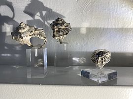 Agrandir l'image (fenêtre modale)